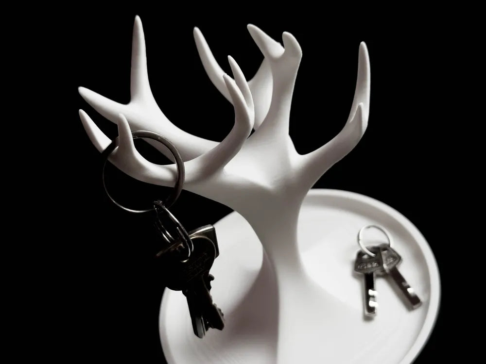 Jewelry Organizer
