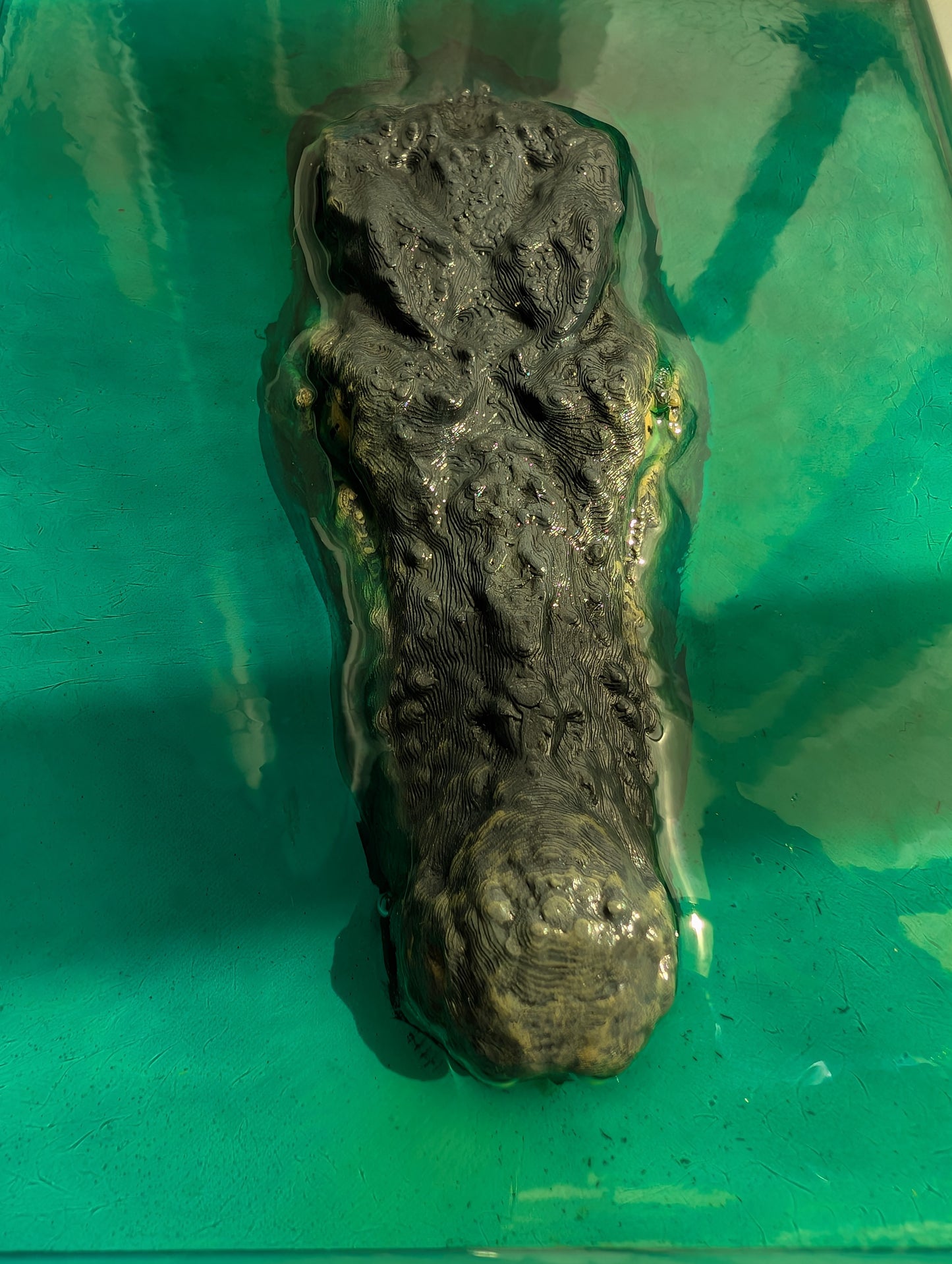 3D Printed Crocodile with Epoxy Resin Water