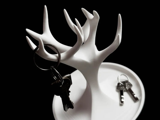Jewelry Organizer