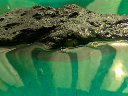 3D Printed Crocodile with Epoxy Resin Water