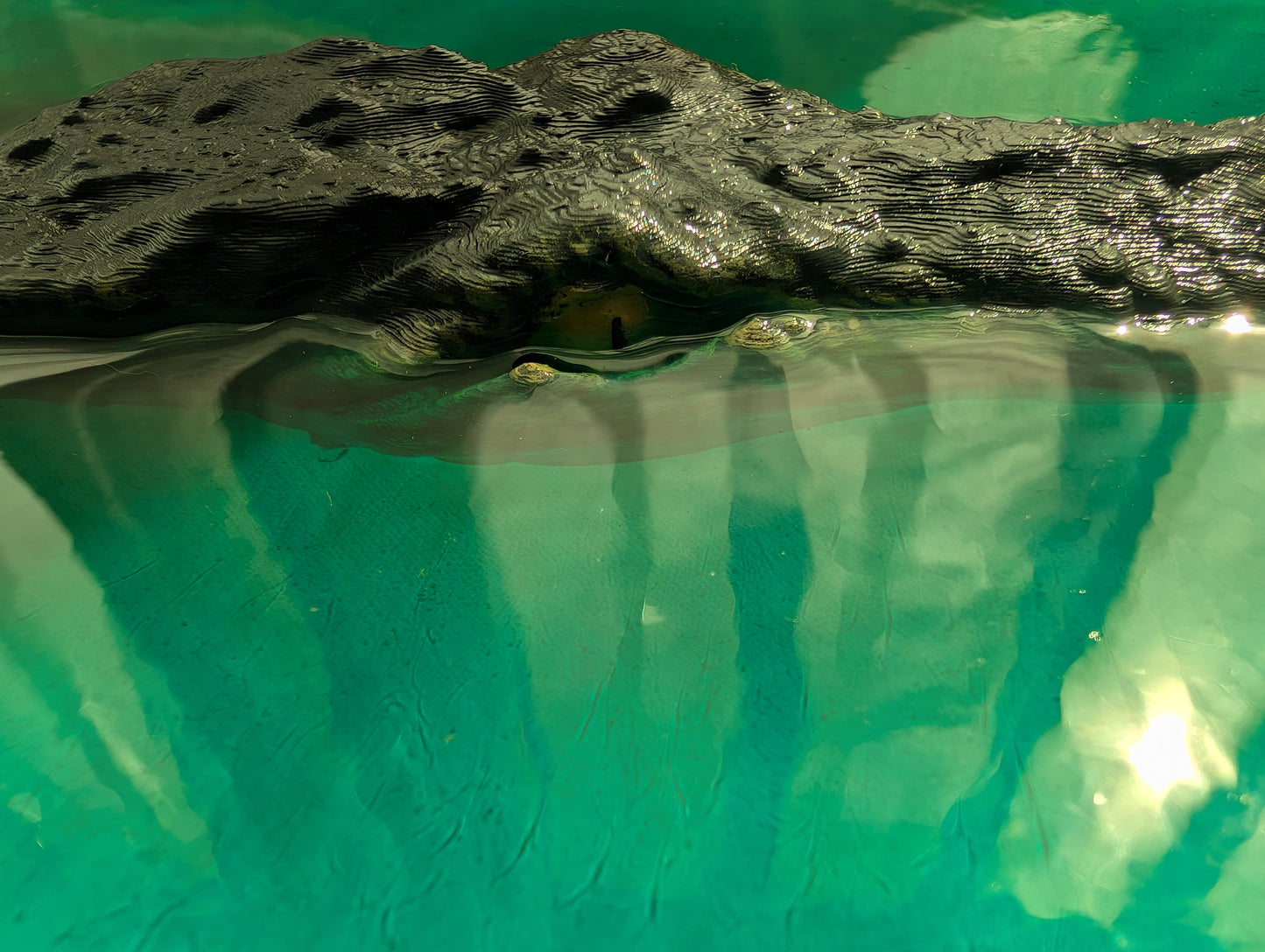 3D Printed Crocodile with Epoxy Resin Water